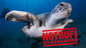 Ölförderung vor den Malediven: Unterwasserparadies in Gefahr