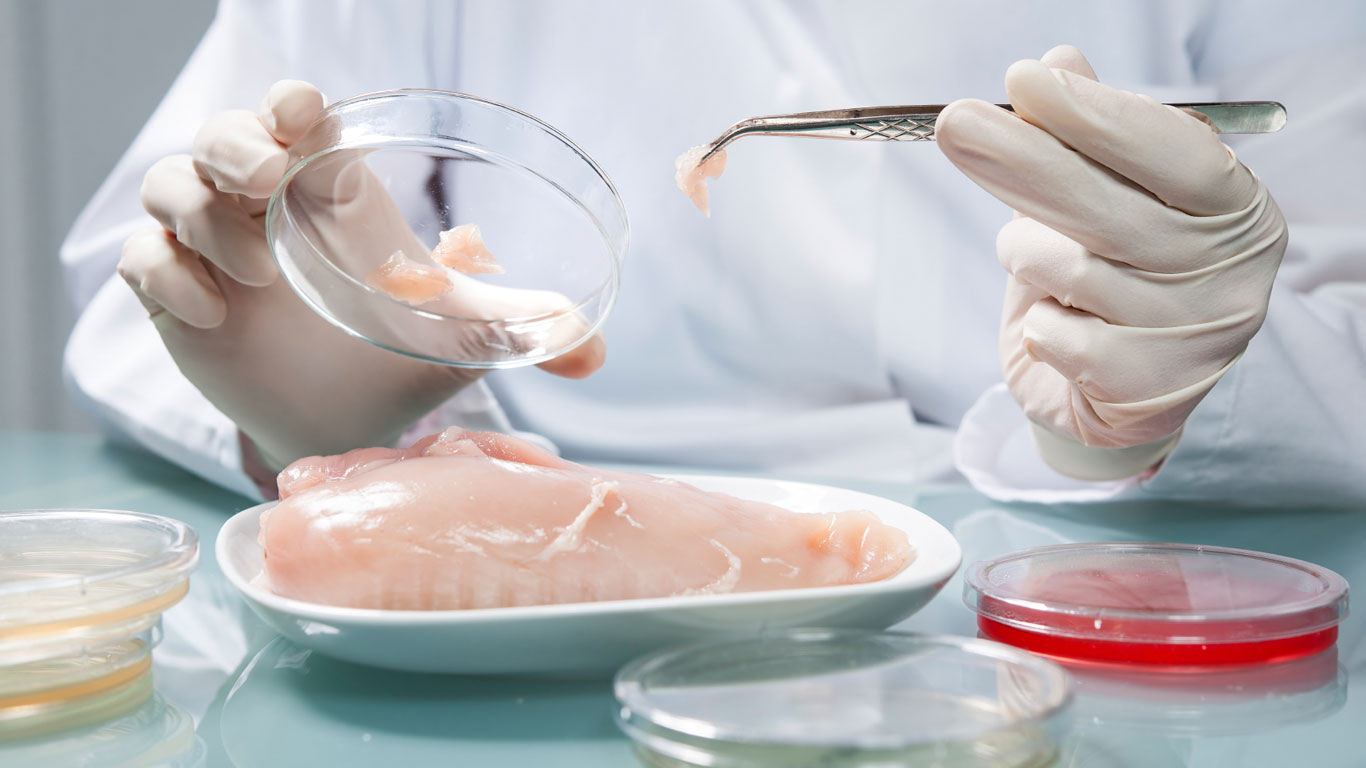 Dioxin-Fleisch