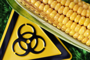 Wie giftig ist mein Essen? Zusatzstoffe und Umweltgifte