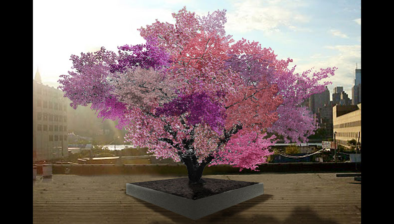 baum-bunt-fruechte