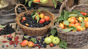 Schutz vor Erkältung mit selbstgesammelten Früchten