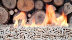 Pellets: Kleine Körner voller Energie