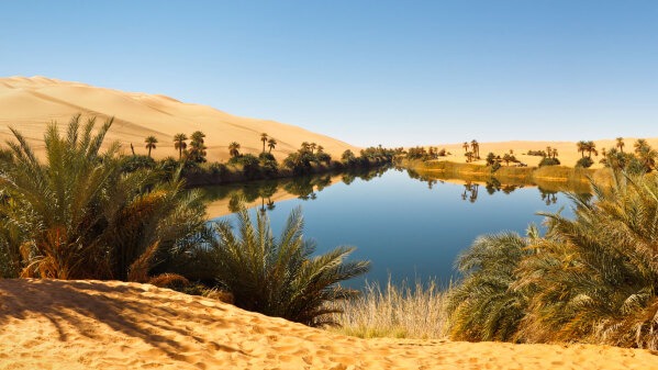 Wie entstehen Oasen?