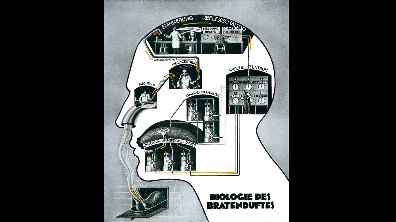 Biologie des Bratenduftes (1926)