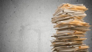 Wie aus Bäumen Papier hergestellt wird
