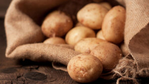 Karriere einer Knolle: Wie die Kartoffel zum Erfolgsgemüse wurde