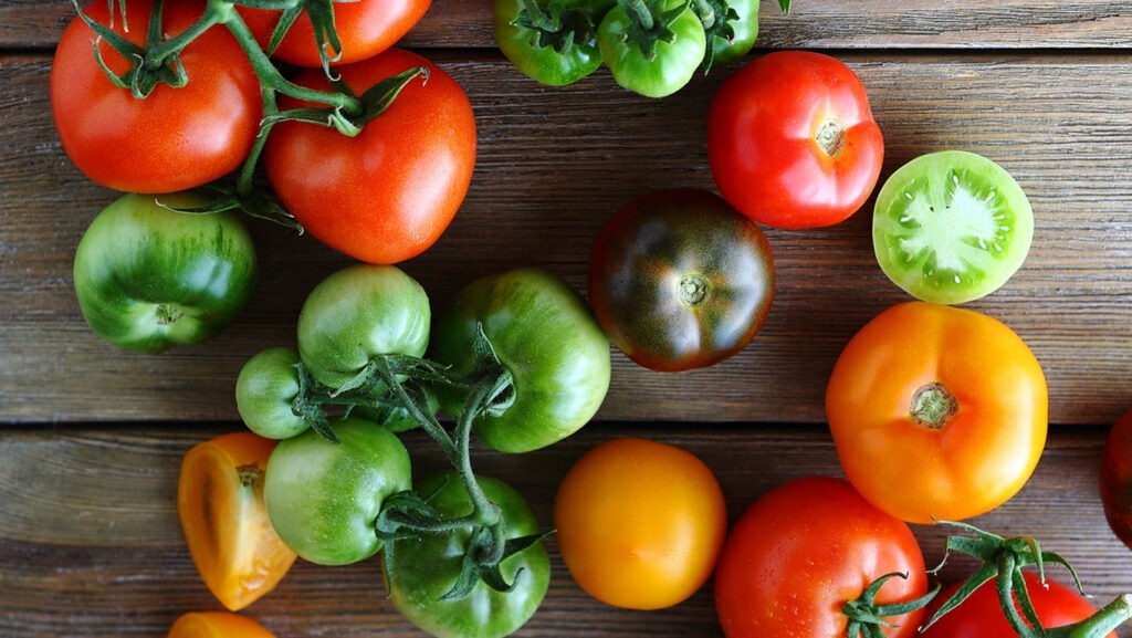 Verdächtiger der Terrorzelle: Tomate