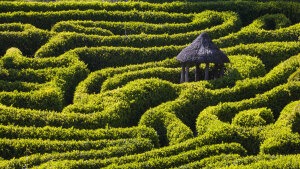 Verschlungene Wege: Warum faszinieren uns Labyrinthe?