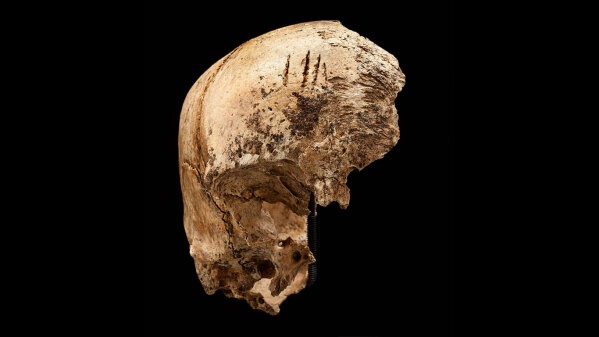 Menschenfleisch im Hungerwinter: Erste Siedler in Amerika waren Kannibalen