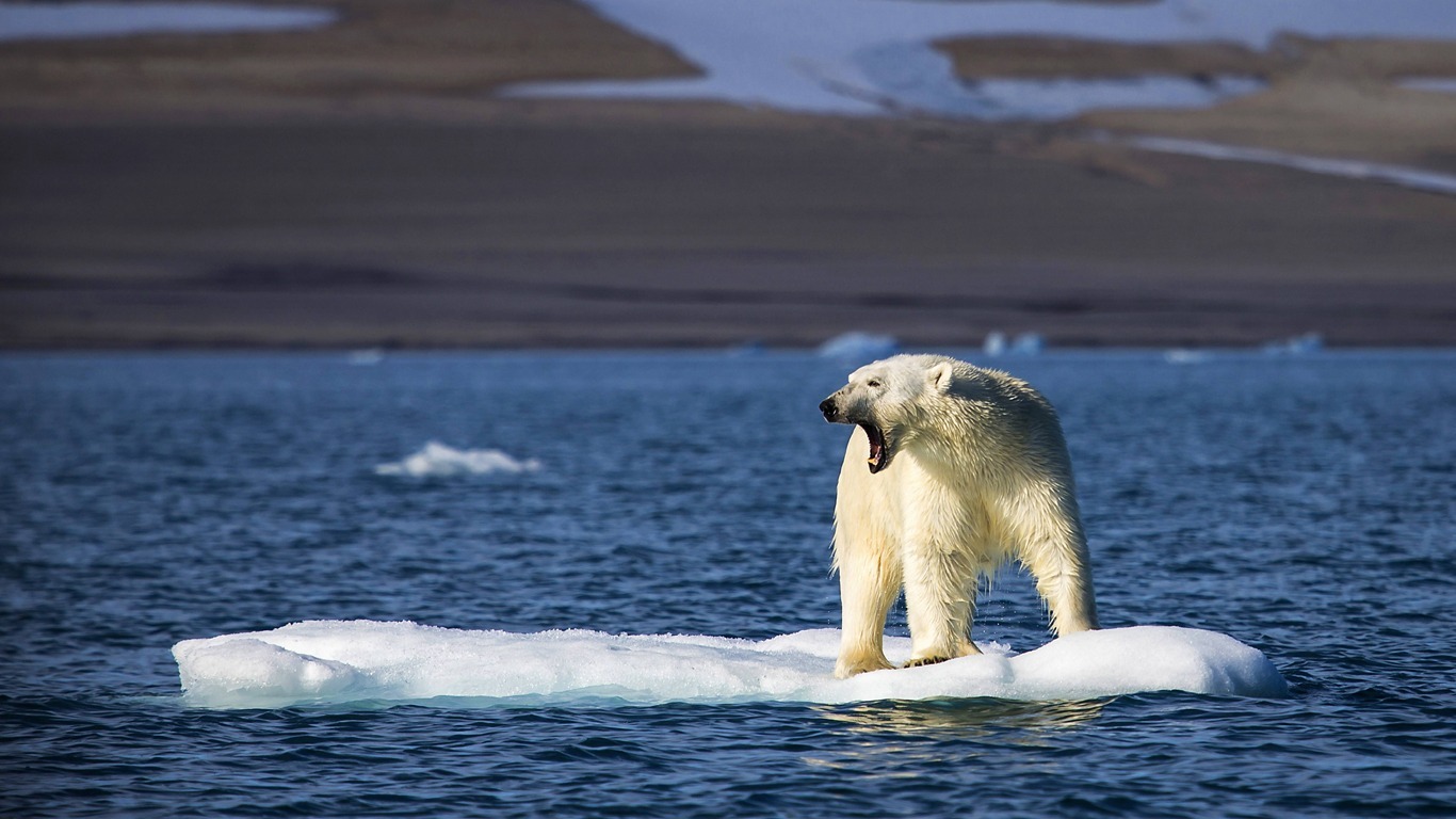 Die globale Erderwärmung