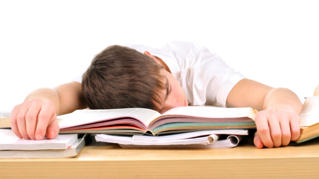 Kann man im Schlaf lernen?