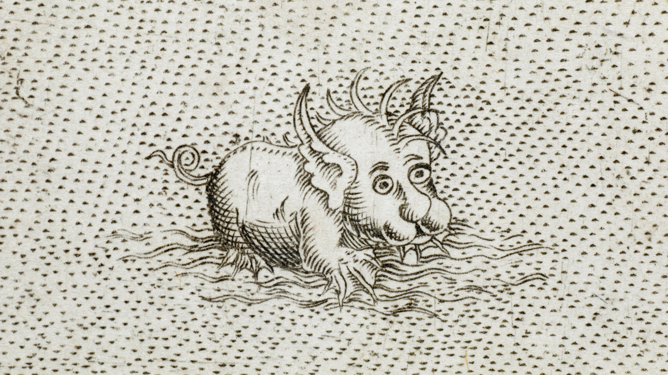 Halb Schwein, halb Hund