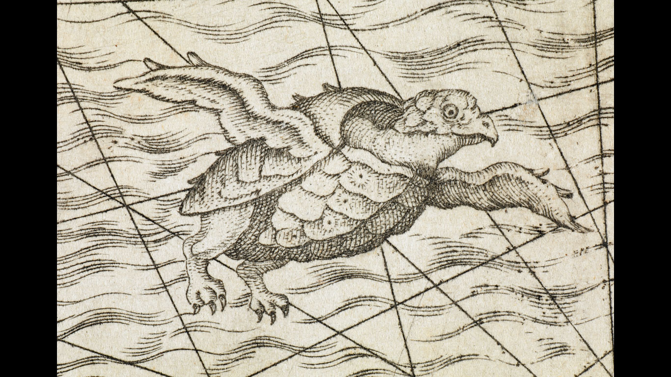 Fliegende Schildkröten