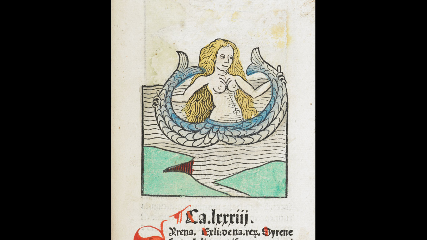 Halb Frau, halb Fisch