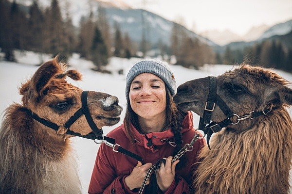 Flauschig, gutmütig und total relaxed: Lamawandern ist der neue Trend!