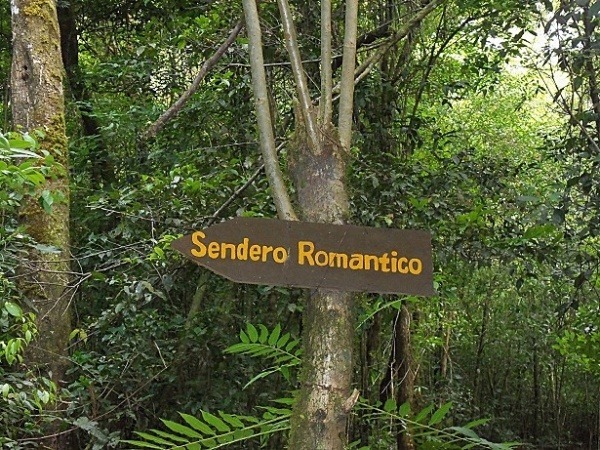 Auf den Spuren des Kaffees in Nicaragua: : Wanderweg im „Schwarzwald“