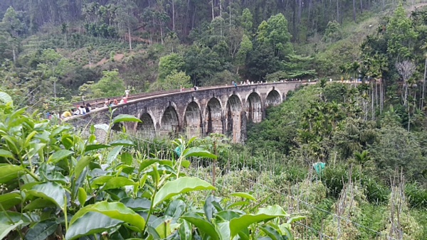 Die Vielfältigkeit Sri Lankas – ein Aquädukt im Urwald