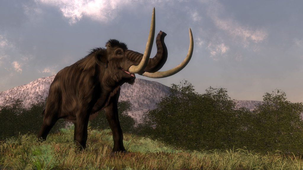 Giganten der Urzeit: Warum starben die Mammuts aus?