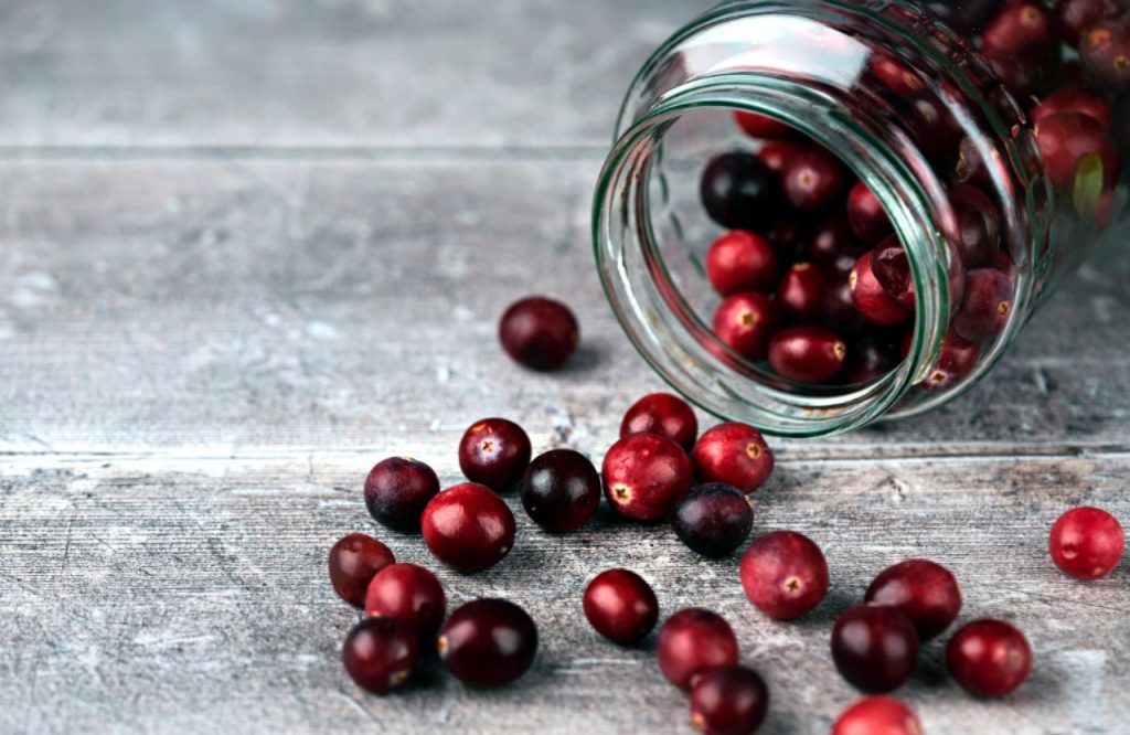 Cranberry – alles, was Du zur Wunderbeere wissen musst