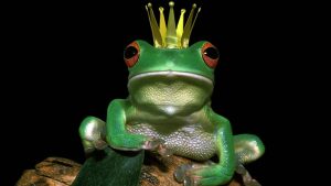Es war einmal: die Märchen der Brüder Grimm