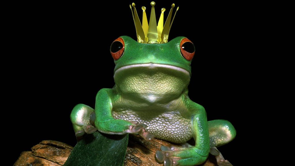 Es war einmal: die Märchen der Brüder Grimm