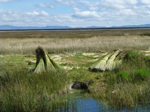 Peru: Die schwimmende Heimat der Uros: Die aufwendige Konstruktion der schwimmenden Inseln besteht hauptsächlich aus Totora-Schilf