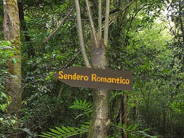 Auf den Spuren des Kaffees in Nicaragua