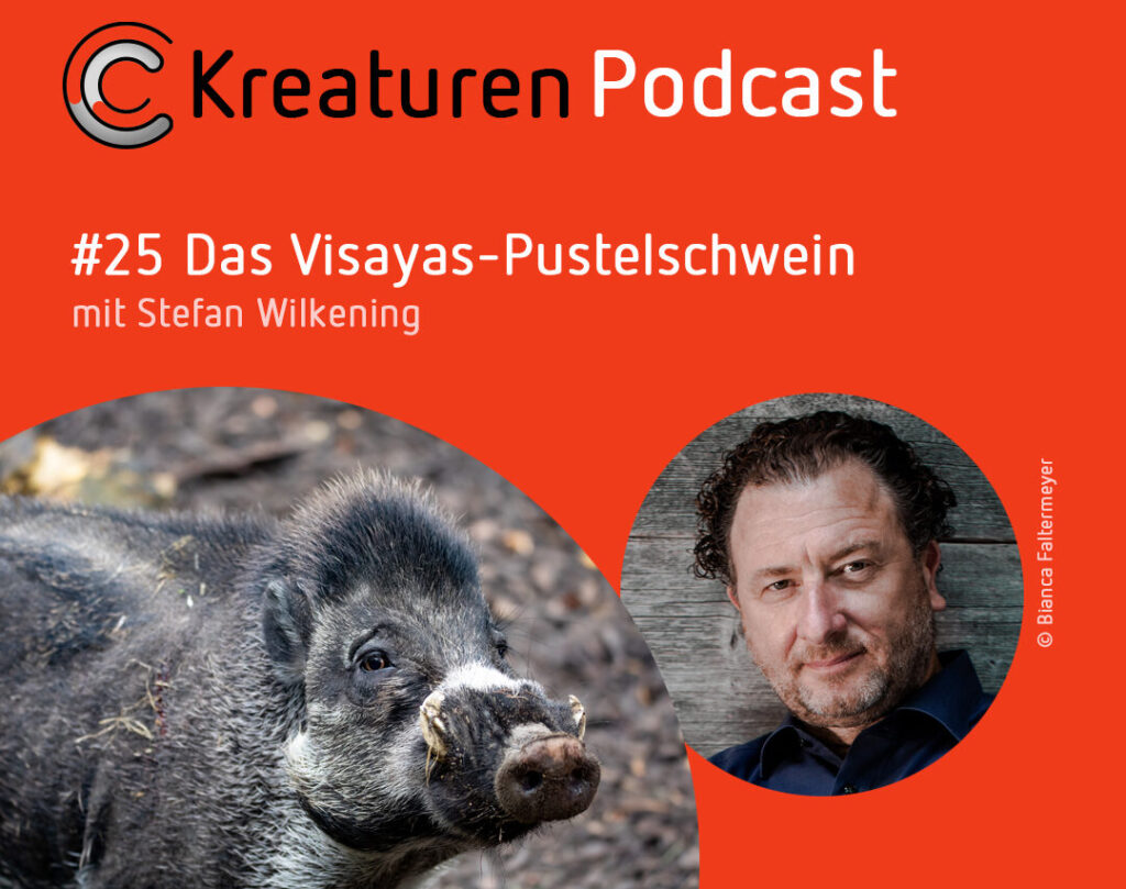 Kreaturen-Podcast Folge 25: Das Visayas-Pustelschwein
