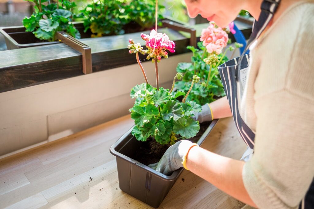 Terrasse, Veranda, Balkon und Co.: Machen Sie Ihr Zuhause mit Pflanzen frühlingsfit.