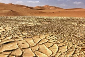 Klimabericht 2022: Weltklimarat IPCC warnt vor Umweltkatastrophen