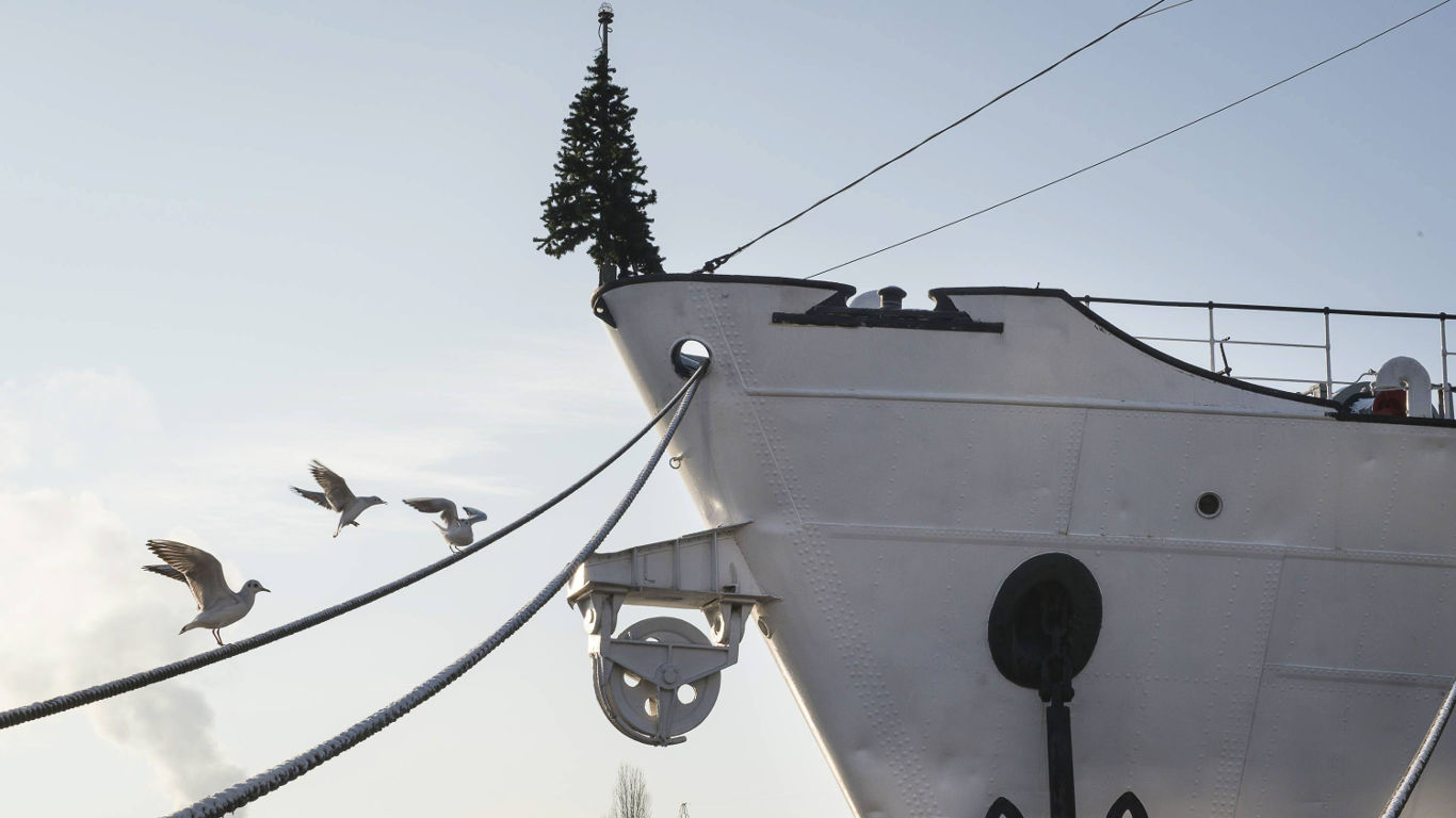 Weihnachtsbaum über Bord