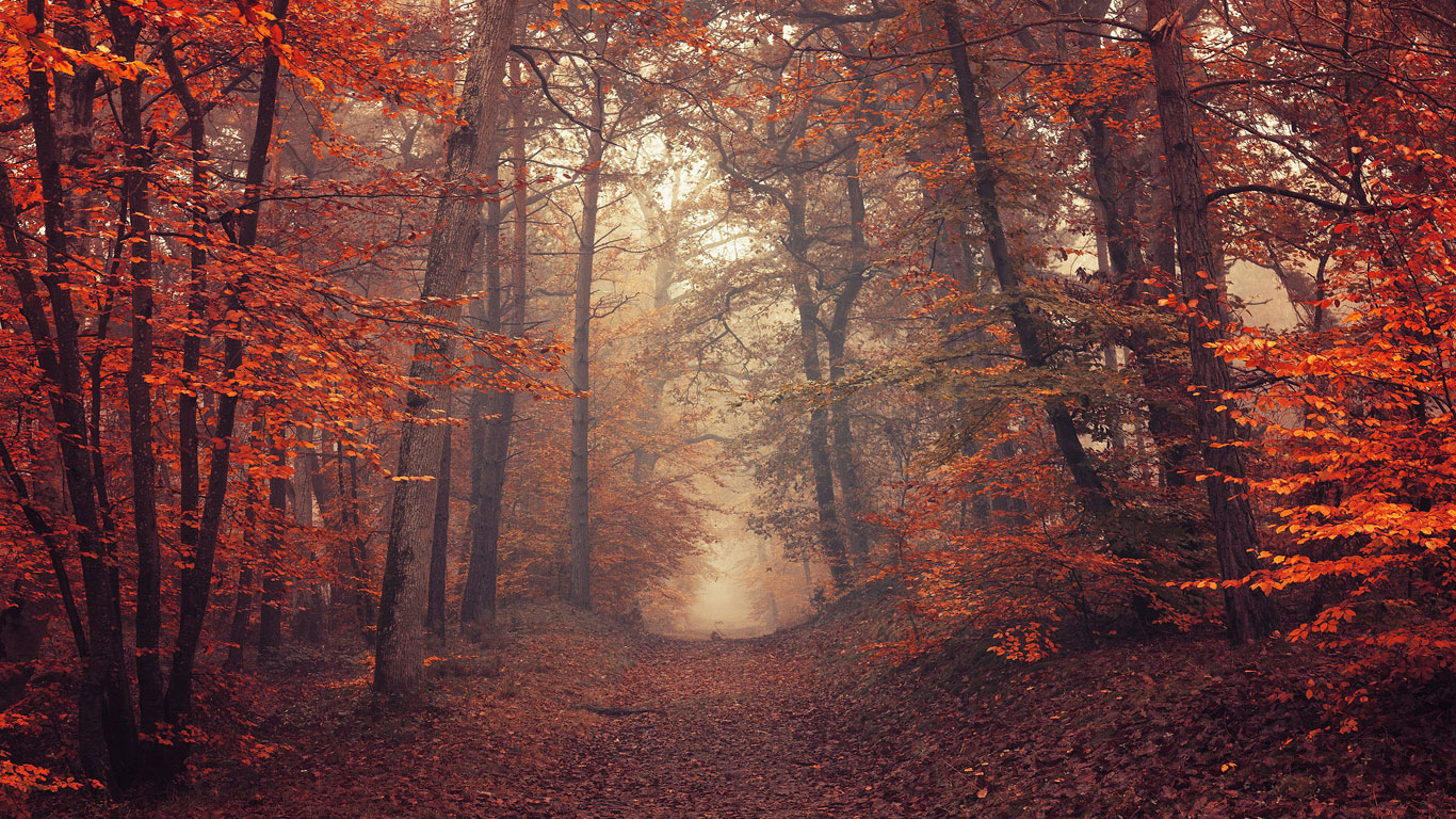 Transition