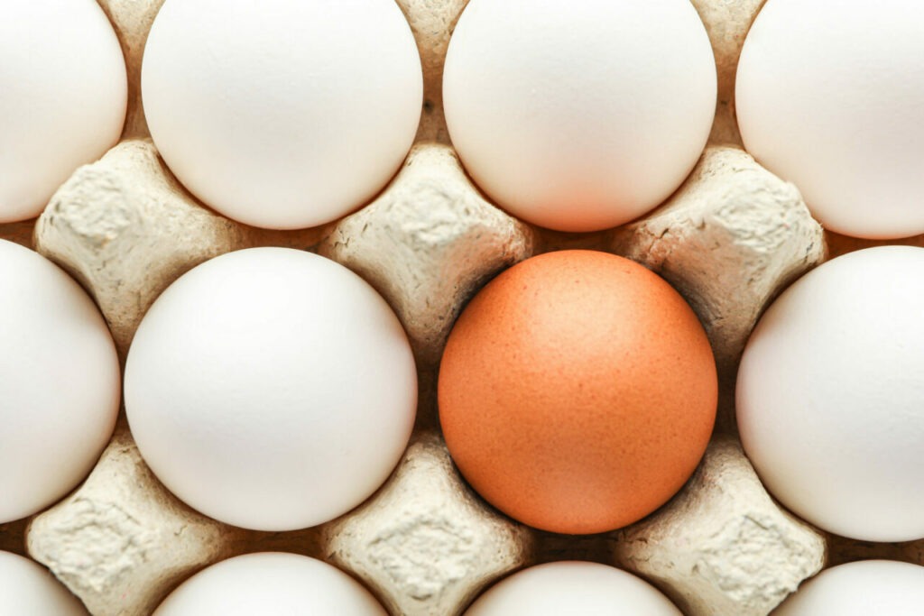 Farbige Schale: Warum Eier braun, weiß oder bunt sind