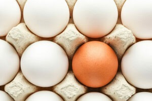 Farbige Schale: Warum Eier braun, weiß oder bunt sind