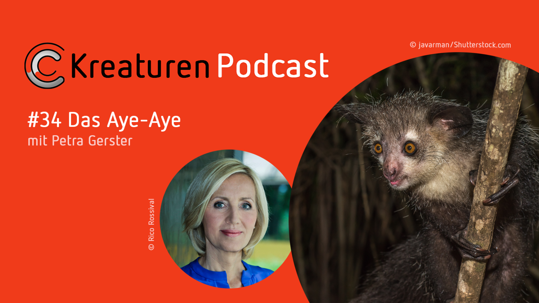 Kreaturen-Podcast – Folge 34: Das Aye-Aye: Das Aye-Aye und Journalistin und Moderatorin Petra Gerster