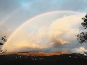 Wie entsteht ein Regenbogen? Regenbogen in bunten Farben über einer Straße