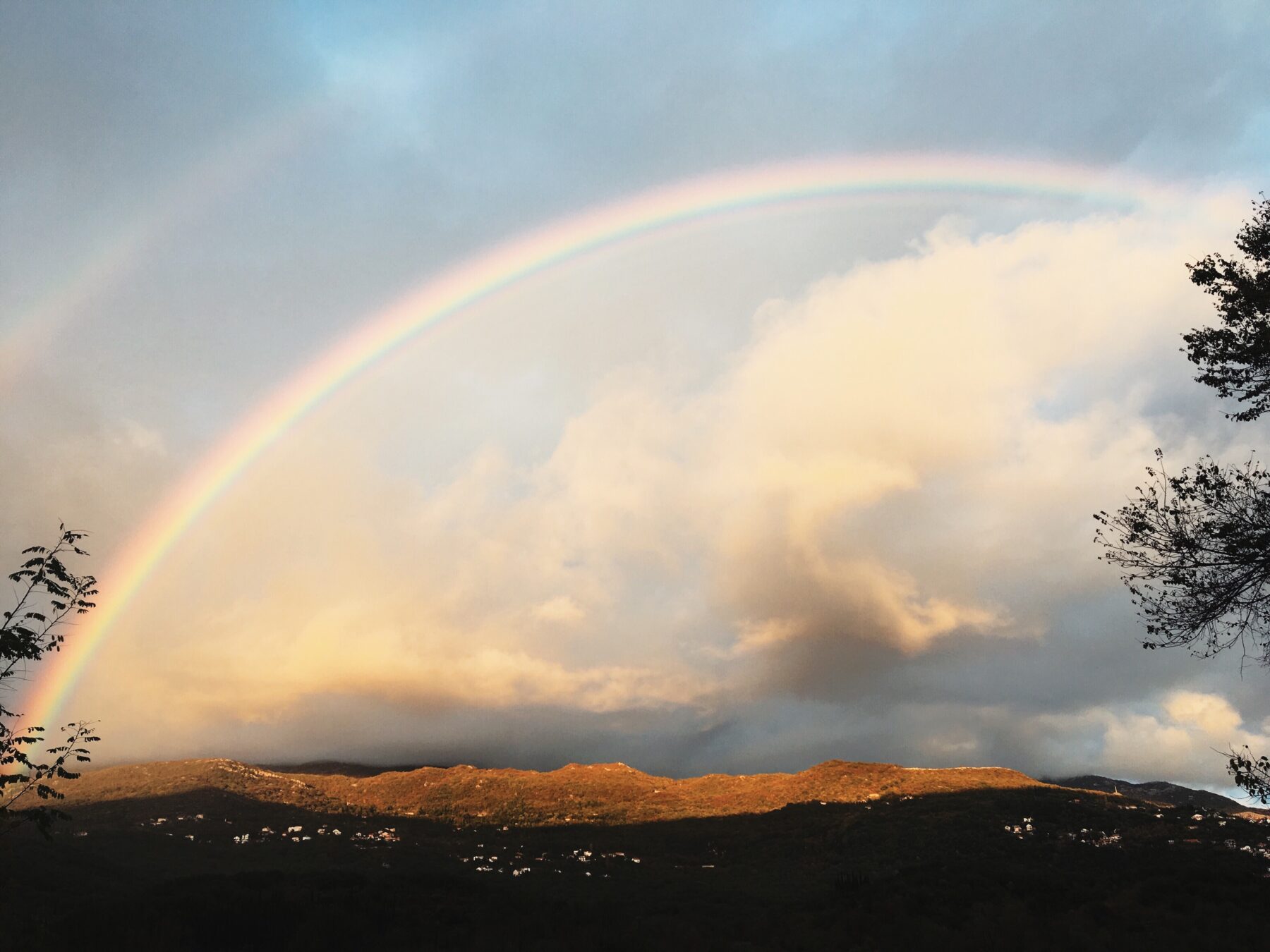 Wie entsteht ein Regenbogen? Regenbogen in bunten Farben über einer Straße