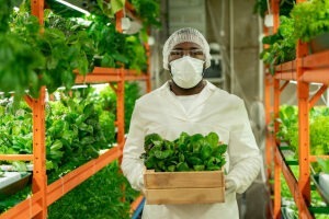 Im Kampf gegen den Klimawandel ist ein Bereich unumgänglich: unsere Ernährung. Eine Idee, die zunehmend an Bedeutung gewinnt, ist die vertikale Landwirtschaft oder Vertical Farming. Ob dadurch eine wachsende Weltbevölkerung vollständig ernährt werden kann, ist umstritten.
