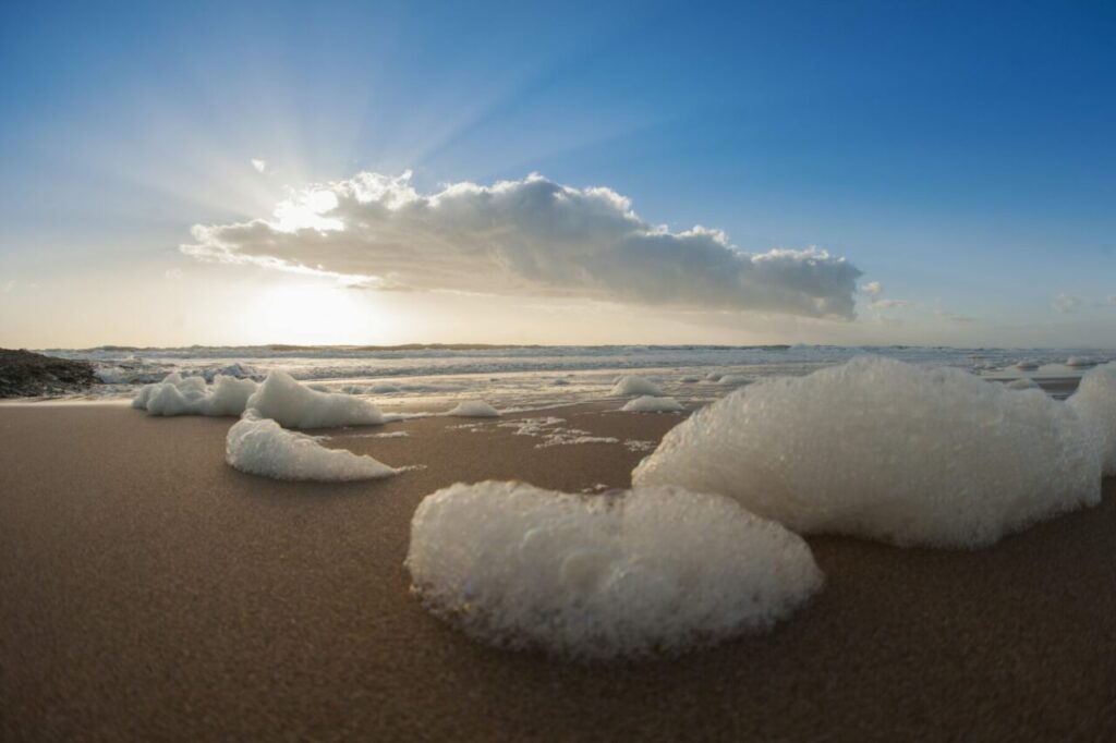 Strand-Schaum-Envato