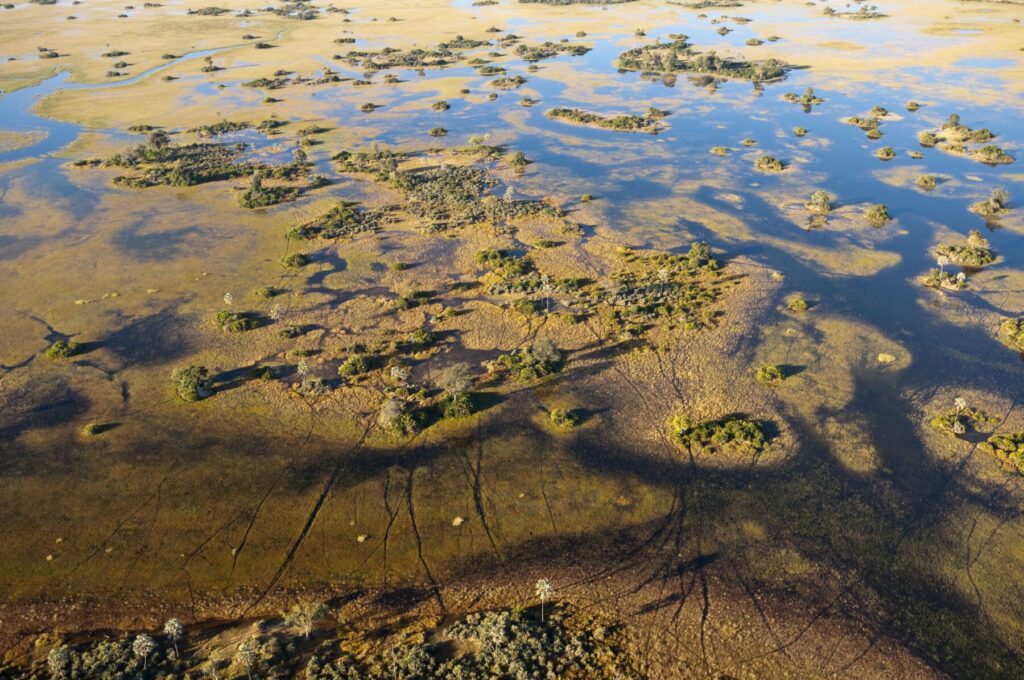 Luftaufnahme-Sumpfland-Botswana-Envato