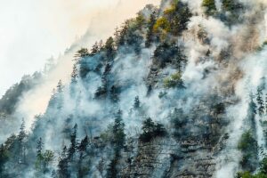 Ein Hang mit Nadelbäumen steht im Qualm eines Waldbrandes während der Löschung