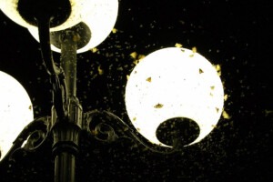 Motten-Lampe-Nacht-istock