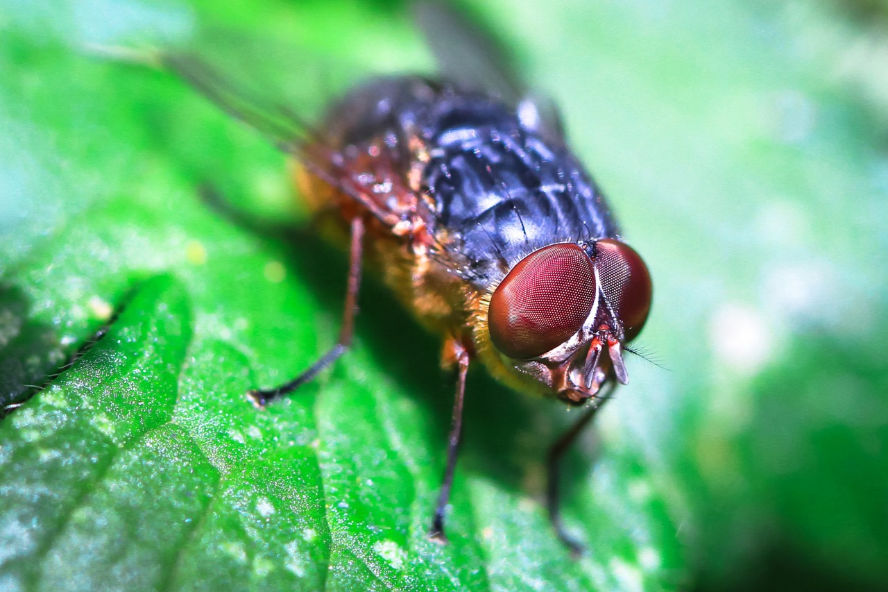 Bessere Naturfotos