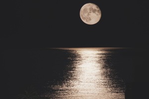 Ebbe und Flut: Mond und Sonne bestimmen die Gezeiten