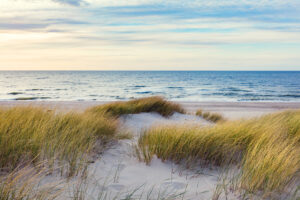 Herbst an der Ostsee erleben: Sanddünen mit Gras