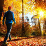 Zehn Gründe, warum man sich auf den Herbst freuen kann