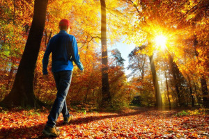 Zehn Gründe, warum man sich auf den Herbst freuen kann