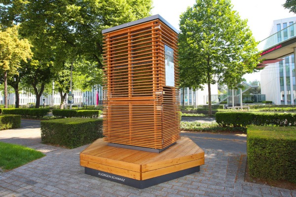 Stadtbäume für bessere Luftqualität