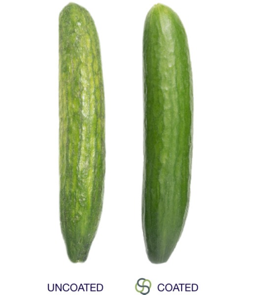 Das Start-up Sufresca aus Israel entwickelte jedoch eine biologisch abbaubare Beschichtung für Obst und Gemüse