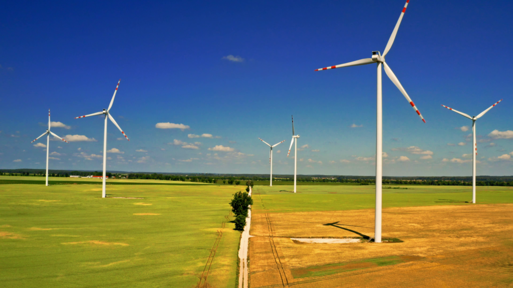 Windkraft als Klimakiller